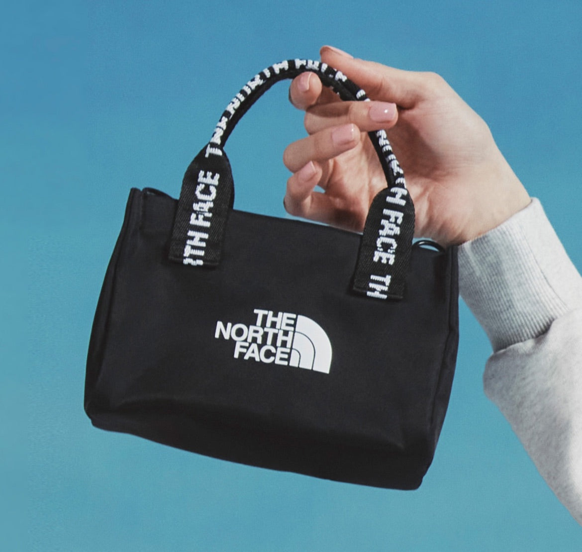 The north face bag